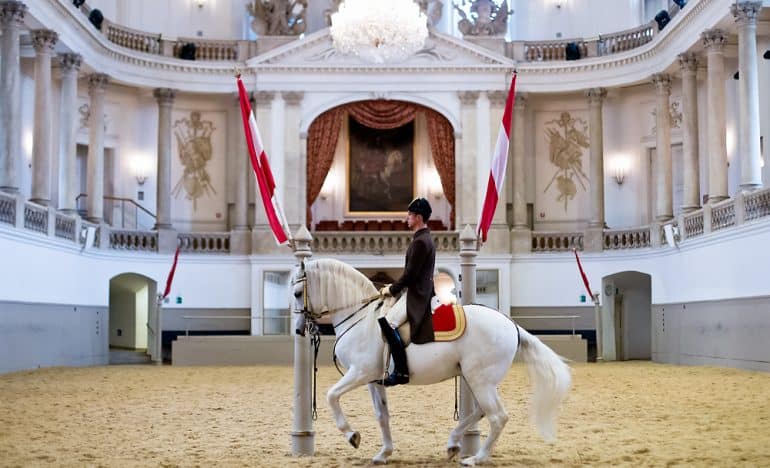 Viatge a Viena - Spanische_Hofreitschule_XVI - Centre Europeu