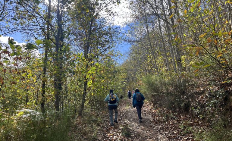 Caminades Saludables per Catalunya